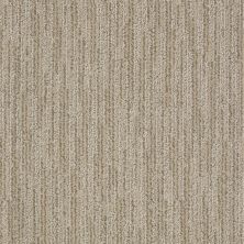 Shaw Floors Roll Special Xy191 Spice Cookie