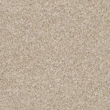 Shaw Floors Value Collections Xy194 Biscotti 00100_XY194