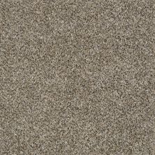 Shaw Floors Value Collections Xy194 Champion 00201_XY194