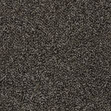 Shaw Floors Value Collections Xy194 Black Granite 00503_XY194