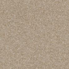 Shaw Floors Value Collections Xy196 Sand Castle 00101_XY196