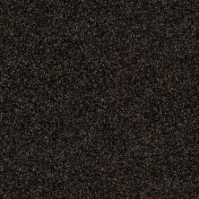 Shaw Floors Value Collections Xy196 Rich Earth 00704_XY196