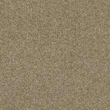 Shaw Floors Value Collections Xy207 Net Biscotti 00102_XY207
