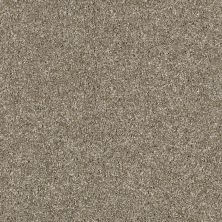 Shaw Floors Value Collections Xy207 Net Cameo 00103_XY207