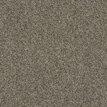 Shaw Floors Value Collections Xy207 Net Dynamic 00500_XY207