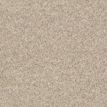 Shaw Floors Value Collections Xy208 Net Creamy Silk 00100_XY208