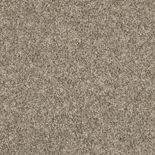 Shaw Floors Value Collections Xy208 Net Weathered 00101_XY208