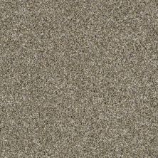 Shaw Floors Value Collections Xy208 Net Fox Fur 00102_XY208