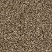 Shaw Floors Value Collections Xy208 Net Bits Of Brown 00200_XY208