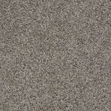 Shaw Floors Value Collections Xy208 Net Burnt Ash 00500_XY208