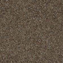 Shaw Floors Value Collections Xy208 Net Rocky Trail 00701_XY208