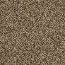 Shaw Floors Roll Special Xy226 Bits Of Brown 00200_XY226