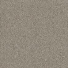 Shaw Floors Roll Special Xy324 Lady Liberty