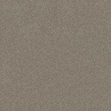 Shaw Floors Roll Special Xy324 Iron Works