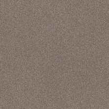 Shaw Floors Roll Special Xy324 Cobble Drive