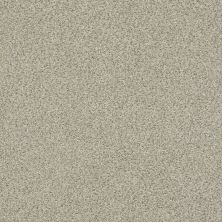 Shaw Floors Roll Special Xy326 Creamery