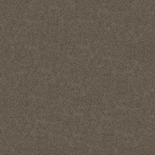 Shaw Floors Roll Special Xy326 Woodcraft