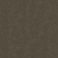 Shaw Floors Roll Special Xy326 Chestnut Ridge