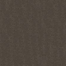 Shaw Floors Roll Special Xy326 Cabana