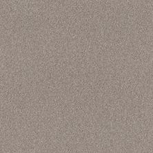 Shaw Floors Roll Special Xy334 Baltic Stone