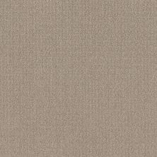 Shaw Floors Roll Special Xy337 Sand Swept