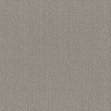 Shaw Floors Roll Special Xy337 Steel Beam