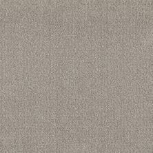 Shaw Floors Roll Special Xy337 Fossil