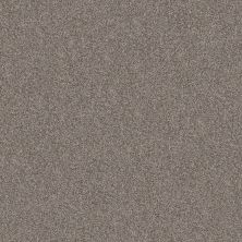 Shaw Floors Roll Special Xy346 Chic Greige