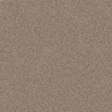 Shaw Floors Roll Special Xy346 Subtle Clay