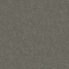 Shaw Floors Roll Special Xy346 Rerooted Nature