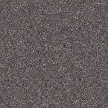 Shaw Floors Roll Special Xy346 Shadow