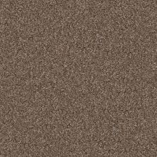 Shaw Floors Roll Special Xy346 Worn Path