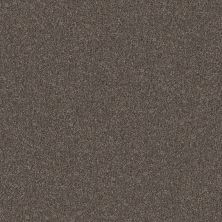 Shaw Floors Roll Special Xy346 Cafe Noir