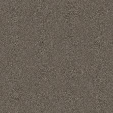 Shaw Floors Roll Special Xy346 Urban Rustic