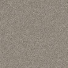 Shaw Floors Roll Special Xy350 Sculpture