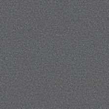 Shaw Floors Roll Special Xy352 Reflection