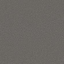 Shaw Floors Roll Special Xy352 Ashes