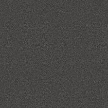 Shaw Floors Roll Special Xy352 Shadow