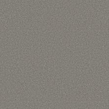 Shaw Floors Roll Special Xy352 Vintage