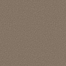 Shaw Floors Roll Special Xy353 Cameo