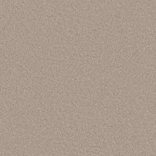 Shaw Floors Roll Special Xy353 Subtle Clay