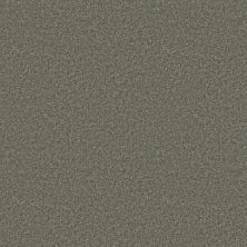 Shaw Floors Roll Special Xy353 Rerooted Nature