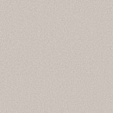 Shaw Floors Roll Special Xy354 Whitecap