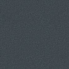 Shaw Floors Roll Special Xy354 Refined