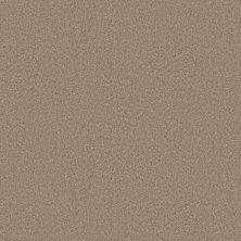 Shaw Floors Roll Special Xy354 Worn Path