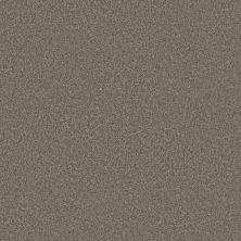 Shaw Floors Roll Special Xy354 Cobblestone