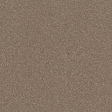 Shaw Floors Roll Special Xy356 Cameo