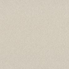 Shaw Floors Roll Special Xy356 Snowfall