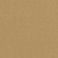 Shaw Floors Roll Special Xy356 Honeycomb