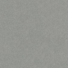 Shaw Floors Roll Special Xy356 Frosted Leaf